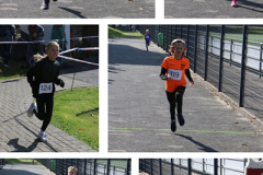 Herbstlauf-Collage-Copy